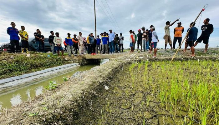 Bupati Amirudin Tinjau Kekeringan di Toili dan Moilong, 1.104 Hektare Sawah Terdampak 