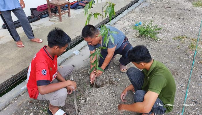 Ponpes Daarul Hikmah Luwuk Galakkan Menanam Pohon