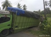 Angkut 10 Ton Raskin, Mobil Truk Ini Terperosok di Pagimana 