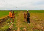 Mekar Jaya Dapat Peningkatan Jalan Tani Lewat Pokir, Kades: Terima Kasih Aleg Mursidin 