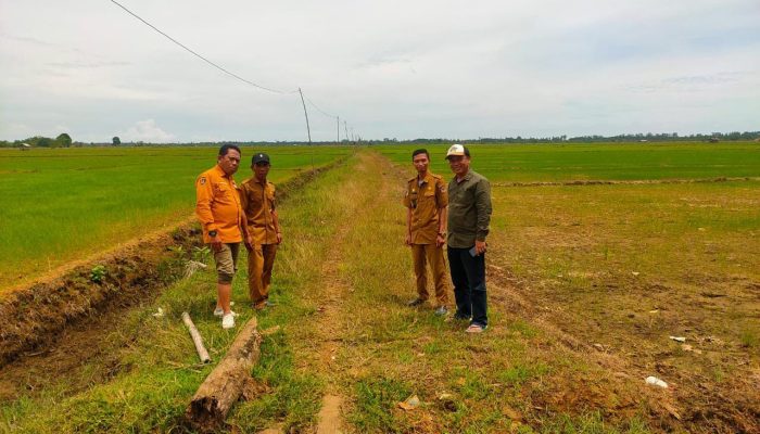 Mekar Jaya Dapat Peningkatan Jalan Tani Lewat Pokir, Kades: Terima Kasih Aleg Mursidin 