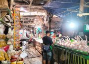 Harga Ayam Potong di Pasar Simpong Luwuk Naik Jelang Ramadhan 