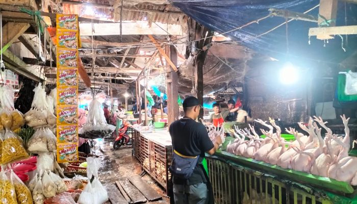 Harga Ayam Potong di Pasar Simpong Luwuk Naik Jelang Ramadhan 