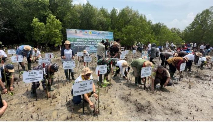 Rehabilitasi Pesisir, PLN Tanam Ribuan Mangrove