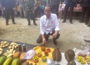 Resmikan Jalan dan Kunjungi Pasar Salakan, Jokowi Sanjung Keramahan Warga Bangkep 