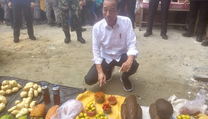 Resmikan Jalan dan Kunjungi Pasar Salakan, Jokowi Sanjung Keramahan Warga Bangkep 