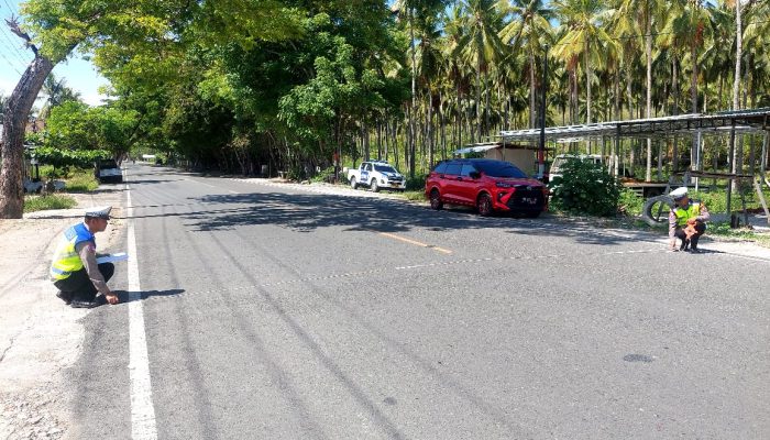 Tabrak Truk Parkir, Pemotor Asal Tanjung Tuwis Luwuk Selatan Tak Sadarkan Diri