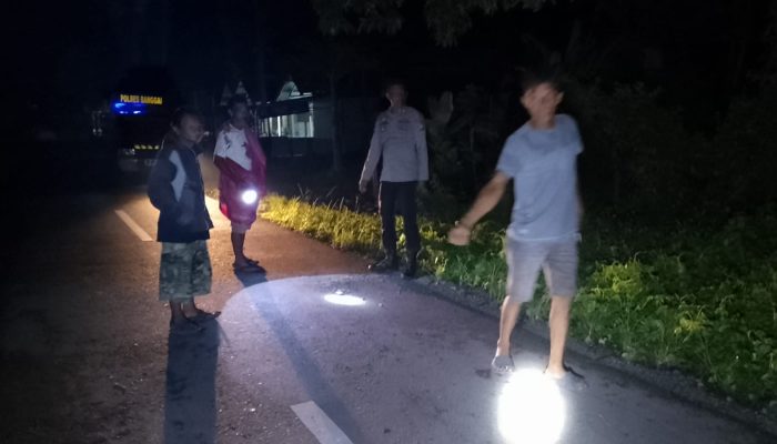 Tragis! Lansia Pejalan Kaki di Nuhon Banggai Tertabrak Motor Hingga Tak Sadarkan Diri 