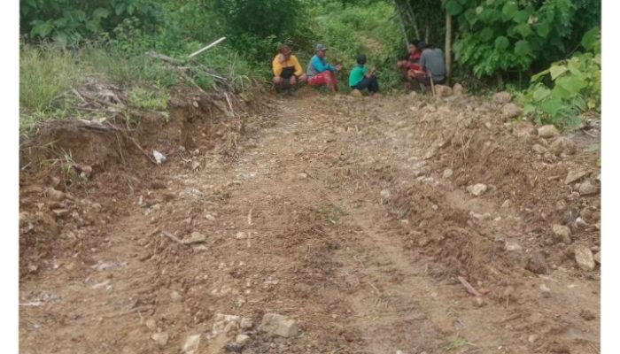 Secara Swadaya, Warga Jaya Makmur Bangun Jalan Kantong Produksi