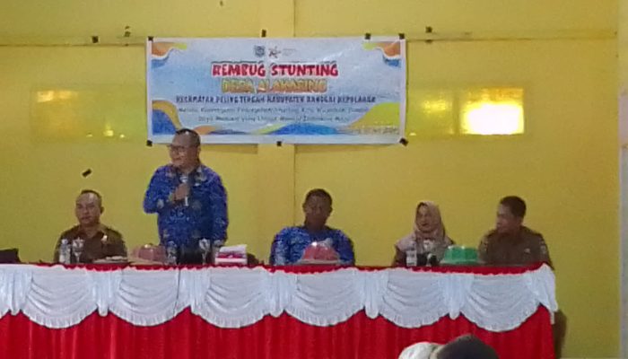 Perlu Peran Aktif Semua Pihak, Pemdes Alakasing Gencae Sosialisasi Pencegahan Stunting