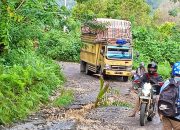 Warga Keluhkan Jalan di Alakasing Bangkep Rusak Parah