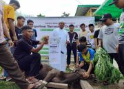 Ponpes Daarul Hikmah Sembelih 7 Ekor Sapi dan 7 Kambing Kurban, Dibagikan ke Masyarakat Sekitar dan Santri