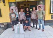 Tipu dan Bawa Kabur  Cokelat-Cengkih Petani, Pemuda di Pagimana Dibekuk Polisi