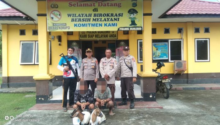 Waduh! Maling Kambing di Bualemo, 2 Pemuda Ini Diamankan Polisi 