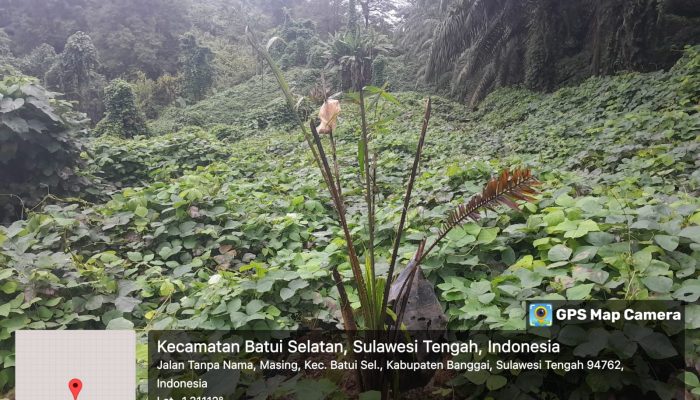 PT. Scem Kembali Berulah, Konflik Agraria yang Tak Berkesudahan