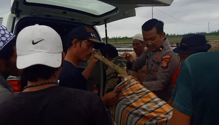 Nahas, Petani Perempuan di Toili Barat Tewas Kesetrum Jebakan Tikus