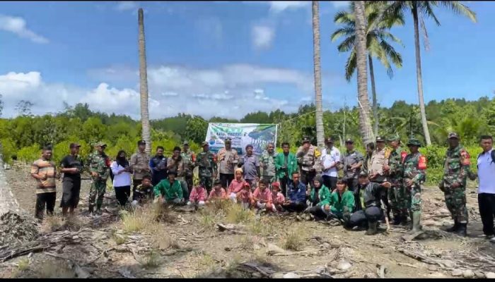 Targetkan 3 Ribu Pohon, BEM Faperta Unismuh Luwuk Tanam Mangrove di Bantayan 