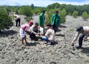 Diprakarsai BEM Faperta UMLB, Kapolsek Luwuk Ikut Tanam Mangrove di Bantayan