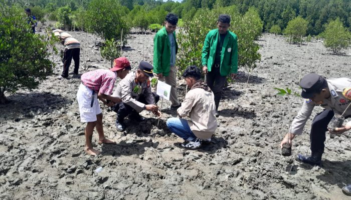 Diprakarsai BEM Faperta UMLB, Kapolsek Luwuk Ikut Tanam Mangrove di Bantayan