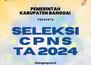 Pendaftaran CPNS Banggai Resmi Dibuka, Tersedia 250 Formasi, Baca Selengkapnya!