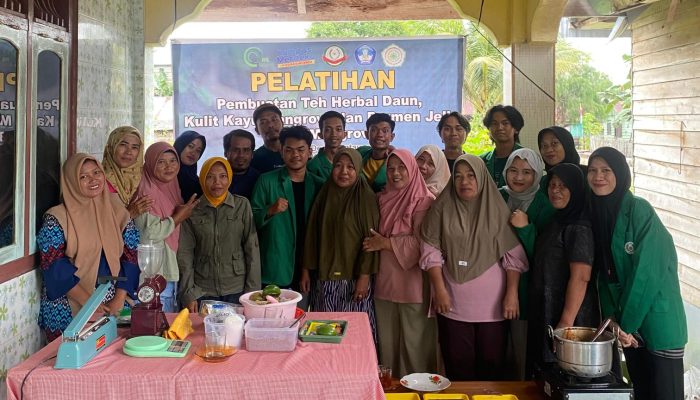 Keren, Mahasiswa Faperta UMLB Gelar Pelatihan Pembuatan Teh Herbal dari Daun Mangrove 