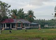 Pasca Bunta Expo, Lapangan Tak Terurus Hingga Jadi Tempat Makan Hewan Ternak Kambing dan Sapi