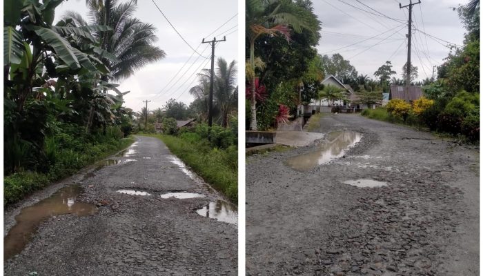 Tak Dapat Perhatian Pemerintah, Warga Simpang 2 Keluhkan Jalan Rusak Parah