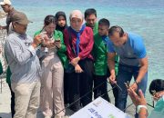 Transplantasi Karang dan Inovasi di Wisata Pantai Kilo Lima, Sinergi Pelestarian Bahari Dispar Bersama JOB Tomori