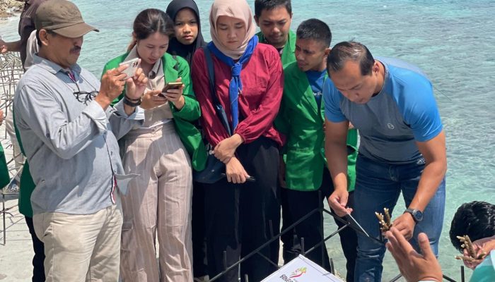 Transplantasi Karang dan Inovasi di Wisata Pantai Kilo Lima, Sinergi Pelestarian Bahari Dispar Bersama JOB Tomori