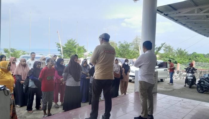 KPU Bangkep Mulai Sortir dan Lipat Surat Suara Pilkada, Libatkan Puluhan Petugas 