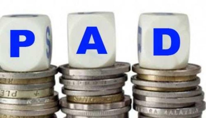 Keberhasilan Bupati Dilihat dari Capaian PAD, PAD Banggai 2021: 11,98 Persen, 2024: 7,94 Persen