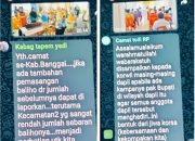 Viral, Beredar Percakapan Oknum Camat Hingga Kabag Diduga Langgar Netralitas