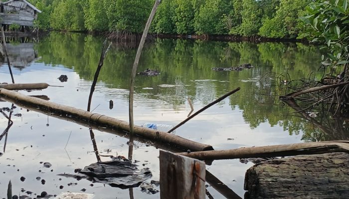 Sebagian Rusak Hingga Mati, Mangrove di Kayutanyo Luwuk Timur Belum Tersentuh Pemda