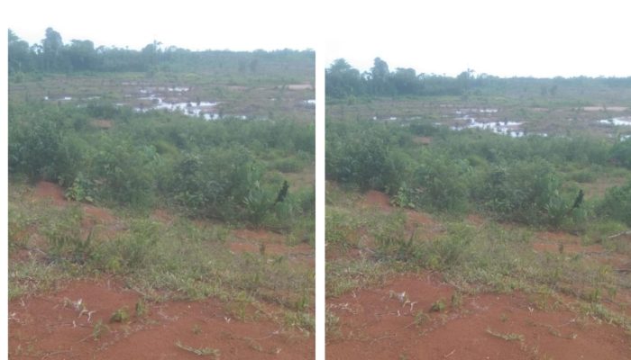 Kantongi Sertifikat, Tanah Milik Warga Tohiti Sari Diduga Diserobot