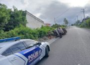 Rem Blong, Pick Up Bermuatan Kayu Bakar Terbalik di Tanjakan Halimun Luwuk