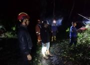 Gerak Cepat! Damkar Bangkep Bersihkan Pohon Tumbang di Jalan Saiyong-Teduang