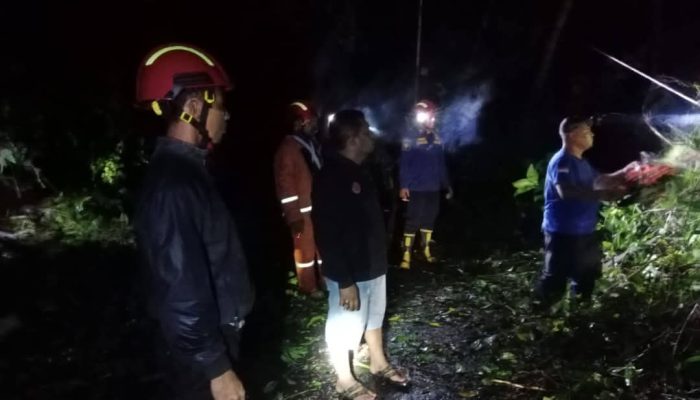 Gerak Cepat! Damkar Bangkep Bersihkan Pohon Tumbang di Jalan Saiyong-Teduang