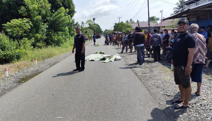 Innalilahi, Pemotor Tewas Terlindas Truk dalam Kecelakaan Maut di Toili Barat