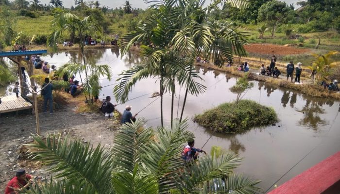 Diikuti 100 Peserta, Pondok Pesantren Alam Al-Fatih Gelar Lomba Mancing