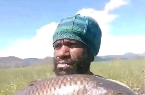 Sektor Nelayan Ikan Mas di Danau Paniai dan Tantangan serta Peluang Pengembangannya