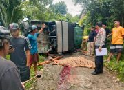 Laka Tunggal Akibat Rem Blong di Hanga-Hanga Tewaskan Pengemudi Hartop, Polisi Lakukan Olah TKP