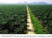 Pernyataan Bupati Banggai Soal Izin HGU PT. KLS Dinilai Tendensius