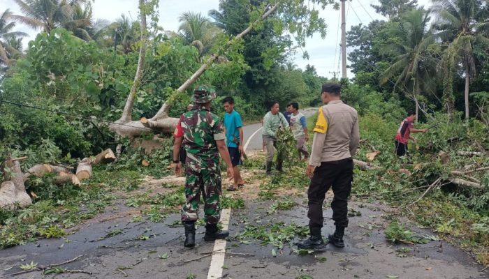 Polisi Bersama Masyarakat Bersihkan Pohon Tumbang Tutupi Badan Jalan Bunta – Simpang Raya
