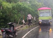 Truk Ekspedisi Kecelakaan Tabrak Jembatan di Bunta, Diduga Akibat Jalan Licin