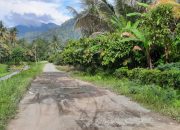 Kecewa Janji Tak Terealisasi, Warga Simpang Raya Pilih Dukung Sulianti Murad-Samsul Bahri Mang