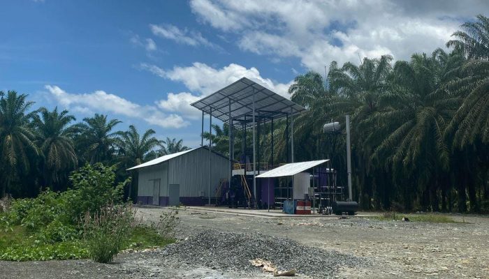 Wow, Pabrik Mini Pengolahan Kelapa Sawit Dibangun di Samalore Dekat HGU PT.KLS, Milik Siapa?