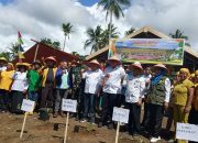 Bupati Bangkep Launching Penanaman Nilam di Desa Bangonemo, Bulagi Utara