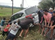 Laka Tunggal, Calya Terjun Bebas ke Sawah di Masing Batui Selatan