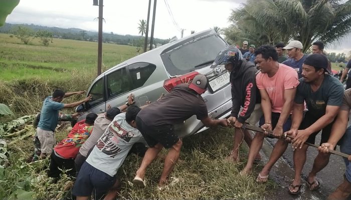 Laka Tunggal, Calya Terjun Bebas ke Sawah di Masing Batui Selatan