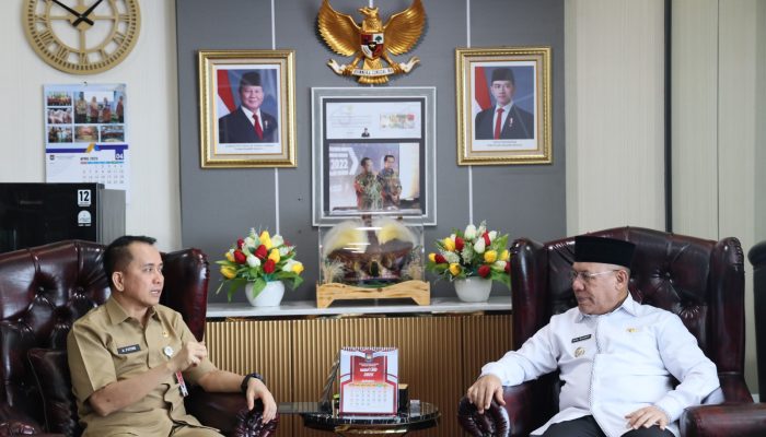 Perkuat Sinergi Fiskal, Bupati Rusli Moidady Temui Dirjen Bina Keuangan Daerah di Jakarta